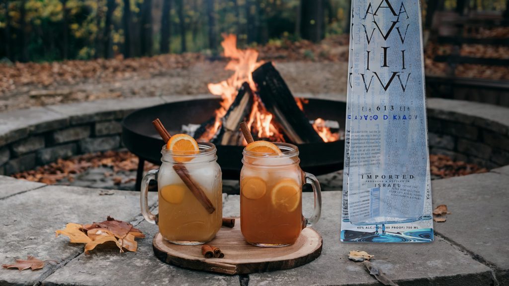 5 Fall Vodka Cocktails to Enjoy at Home Featuring AVIV 613 Vodka