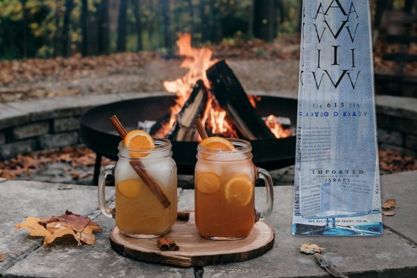 5 Fall Vodka Cocktails to Enjoy at Home Featuring AVIV 613 Vodka